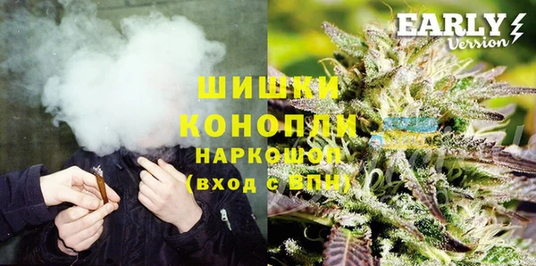 дживик Богородск