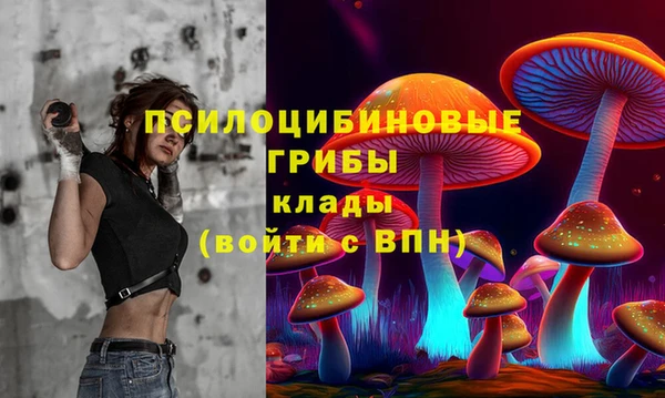 мет Гусев