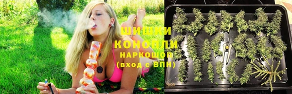 дживик Богородск