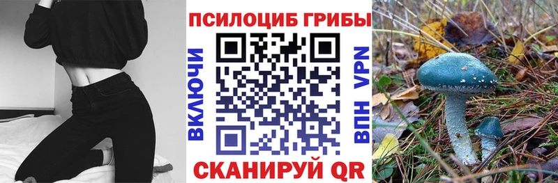 Купить Бирск Псилоцибиновые грибы Cubensis